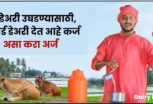 Dairy farming loan apply