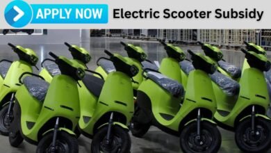 Electric Scooter Subsidy