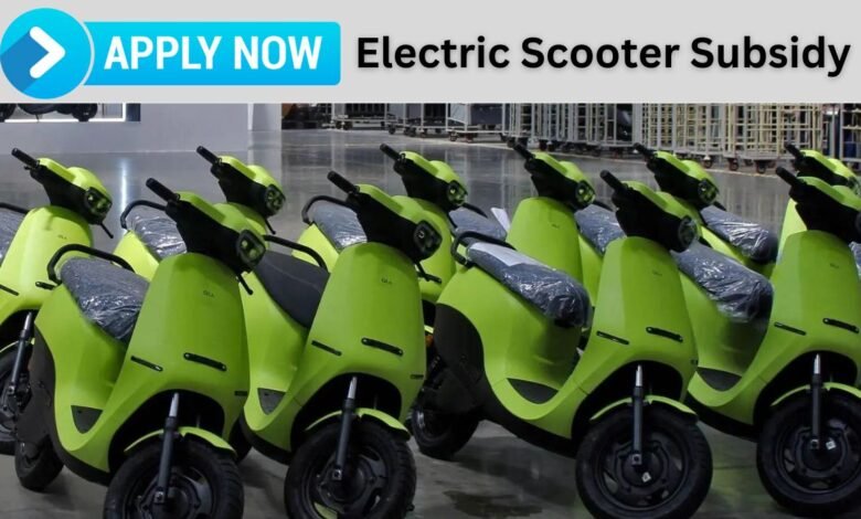 Electric Scooter Subsidy