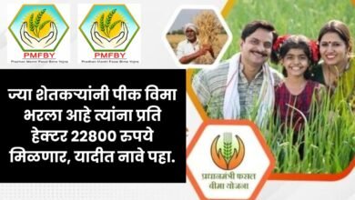 Agricultural Insurance Scheme 2024