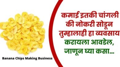 Banana Chips Making Business