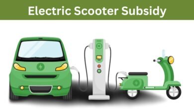 Electric Scooter Subsidy