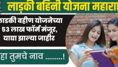 Forms of Ladki Bahin Yojana