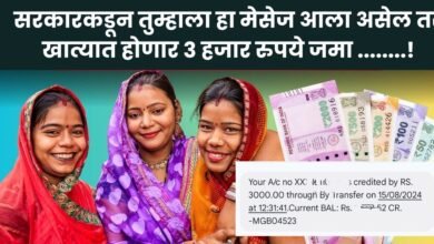 Ladki Bahin Yojana Payment