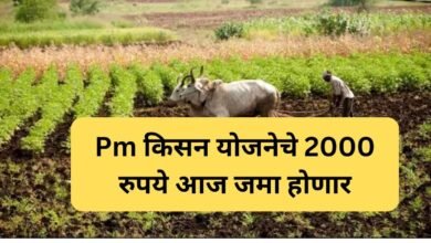 PM Kisan Yojana  