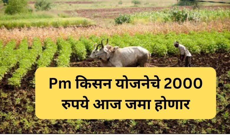 PM Kisan Yojana  