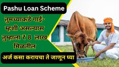 Pashupalan Loan Yojana